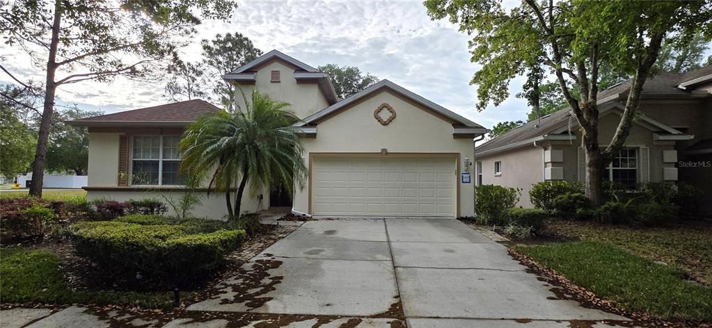 10906 Tree Cactus Loop Land O Lakes, FL 34638 - Photo 3 of 62 a front view of a house with a yard and potted plants