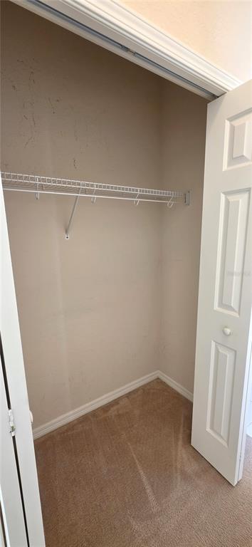 10906 Tree Cactus Loop Land O Lakes, FL 34638 - Photo 31 of 62 a view of an empty walk in closet