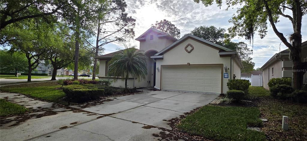 10906 Tree Cactus Loop Land O Lakes, FL 34638 - Photo 4 of 62 a front view of a house with a garden and trees