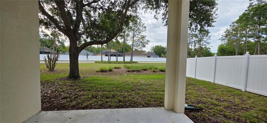 10906 Tree Cactus Loop Land O Lakes, FL 34638 - Photo 50 of 62