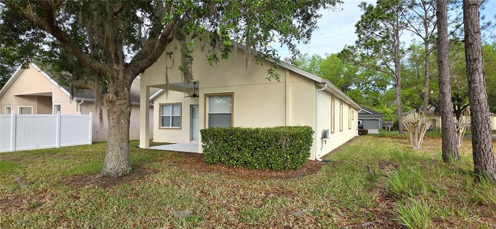 10906 Tree Cactus Loop Land O Lakes, FL 34638 - Photo 54 of 62 a view of a yard in front of a house with large tree
