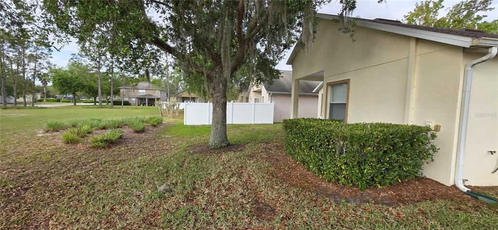 10906 Tree Cactus Loop Land O Lakes, FL 34638 - Photo 55 of 62 a view of a yard with a tree