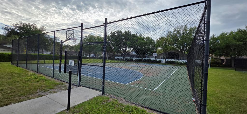 10906 Tree Cactus Loop Land O Lakes, FL 34638 - Photo 59 of 62 a view of a tennis court