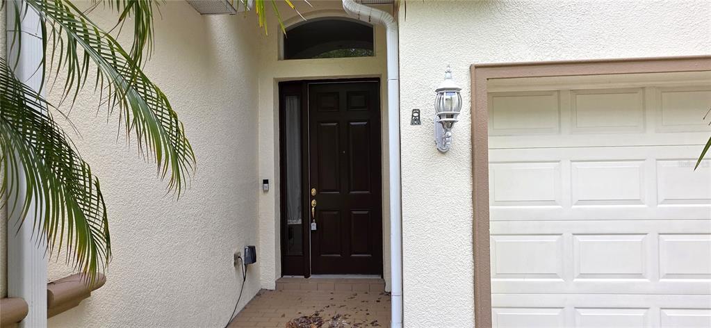 10906 Tree Cactus Loop Land O Lakes, FL 34638 - Photo 6 of 62