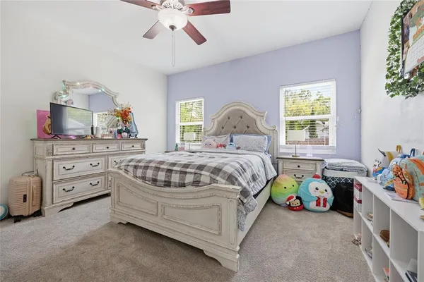 a view of a backyard with a tree