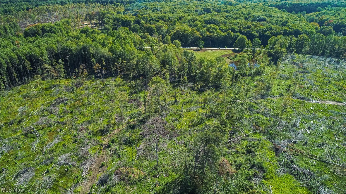 2121 Middle Road Pierpont, OH 44082 - Photo 15 of 35