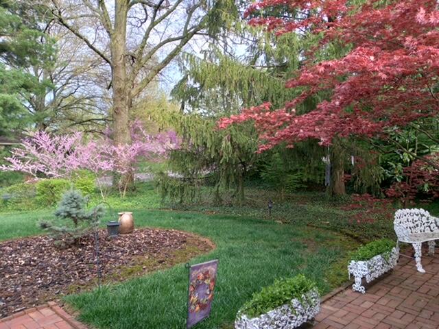 3195 Roxburg Drive Lexington, KY 40503 - Photo 47 of 53 IMG_0746