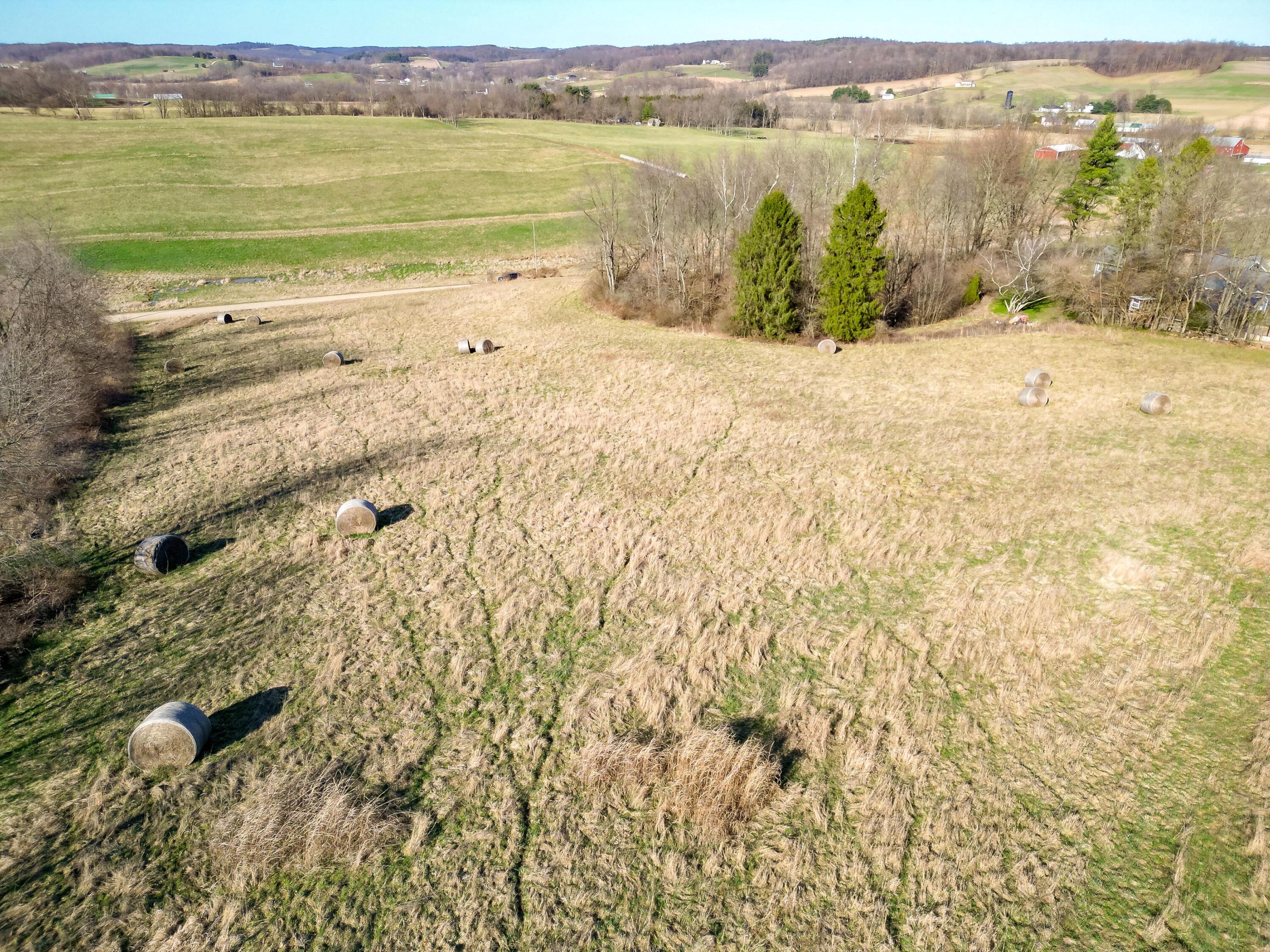 0 Breckler Road Danville, OH 43014 - Photo 9 of 11 1-24 (1)