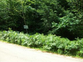 14 Covered Bridge Road Thornton, NH 03285 - Photo 4 of 19