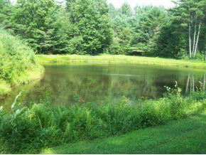 14 Covered Bridge Road Thornton, NH 03285 - Photo 6 of 19