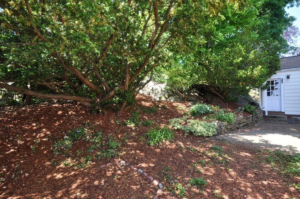 6 Westvale Road Medford, MA 02155 - Photo 25 of 30 Gallery Image 25