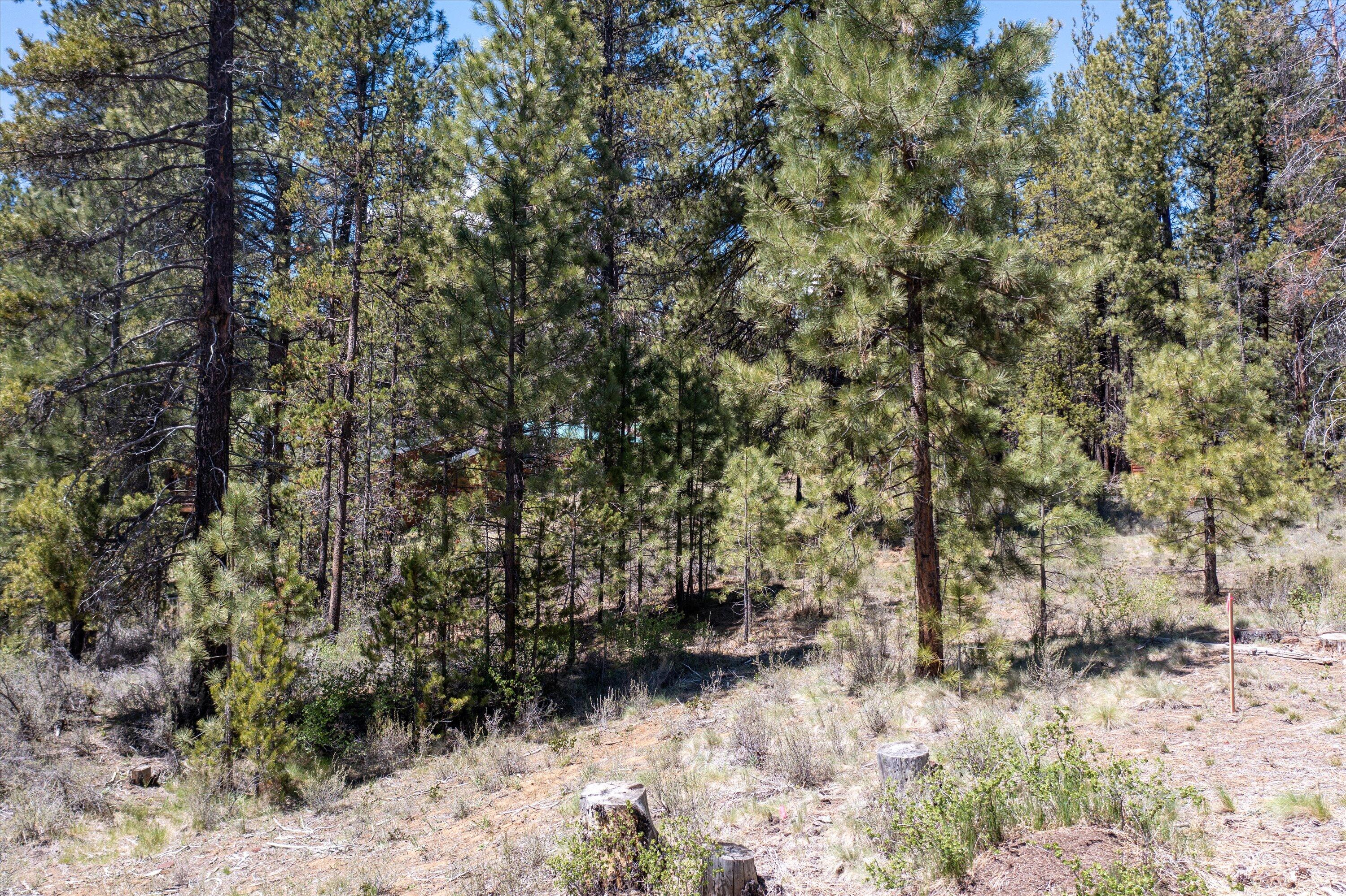 17079 Rani Way Bend, OR 97707 - Photo 7 of 10 Terrain