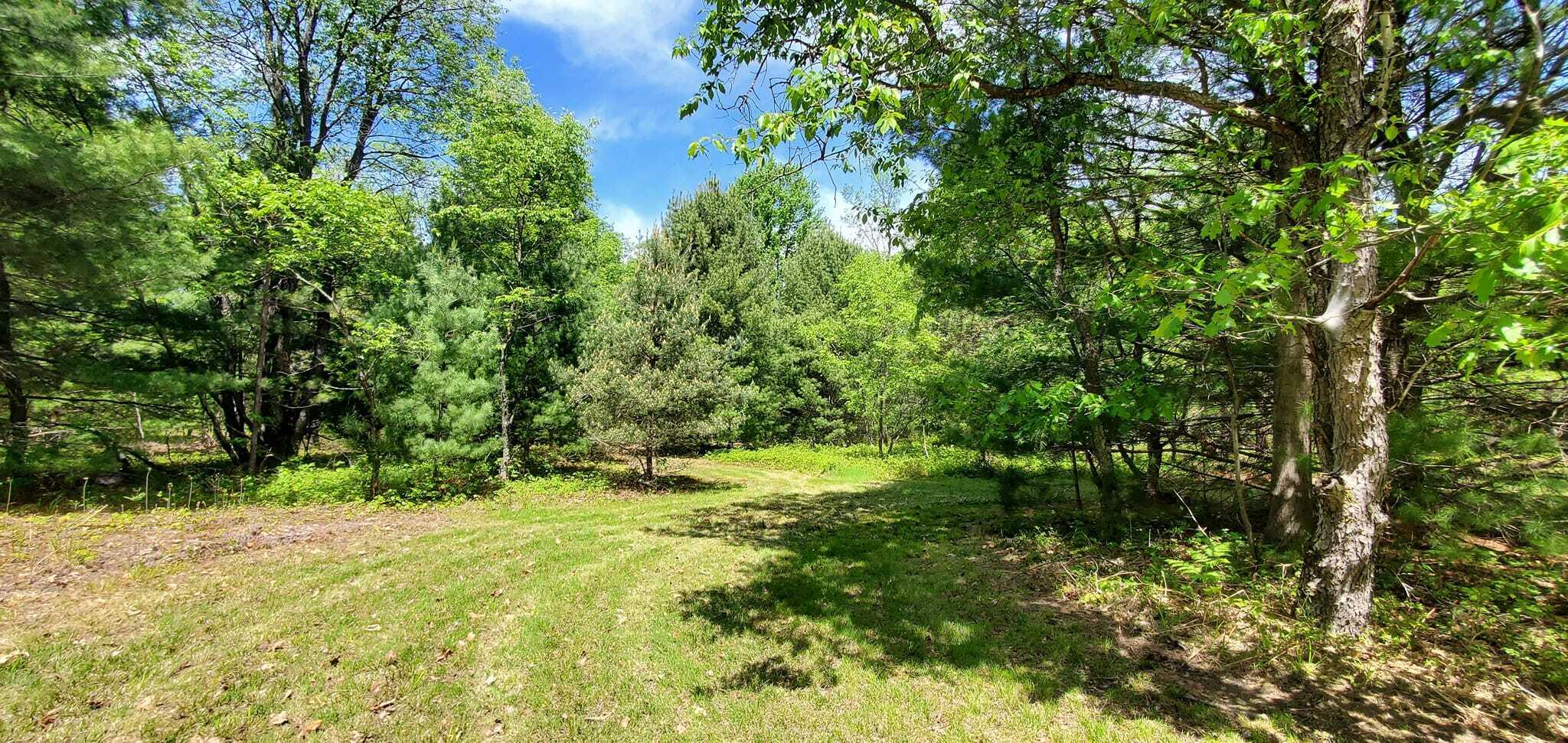 0 Creamery Road Kaleva, MI 49645 - Photo 11 of 28 441674011_10228083140718377_530945015561