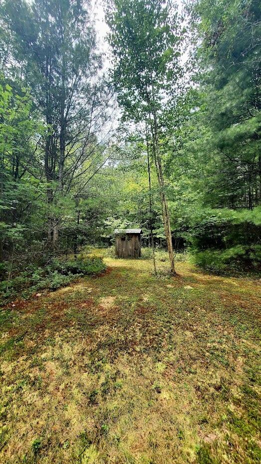 0 Creamery Road Kaleva, MI 49645 - Photo 15 of 28 unnamed (1)