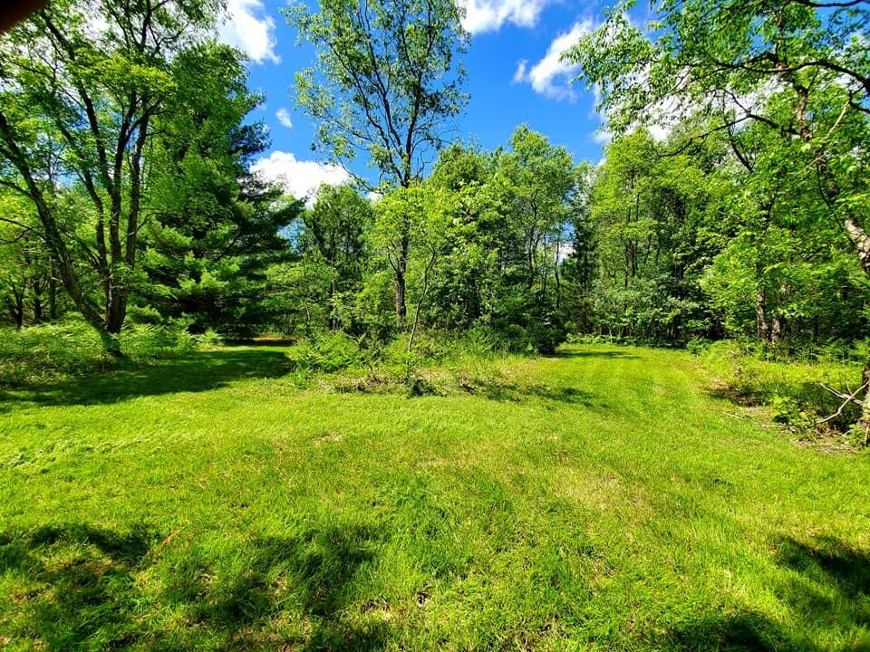 0 Creamery Road Kaleva, MI 49645 - Photo 2 of 28 101808694_10219395696497701_221978694257