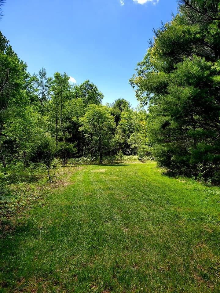 0 Creamery Road Kaleva, MI 49645 - Photo 3 of 28 102380603_10219395697777733_189476187779