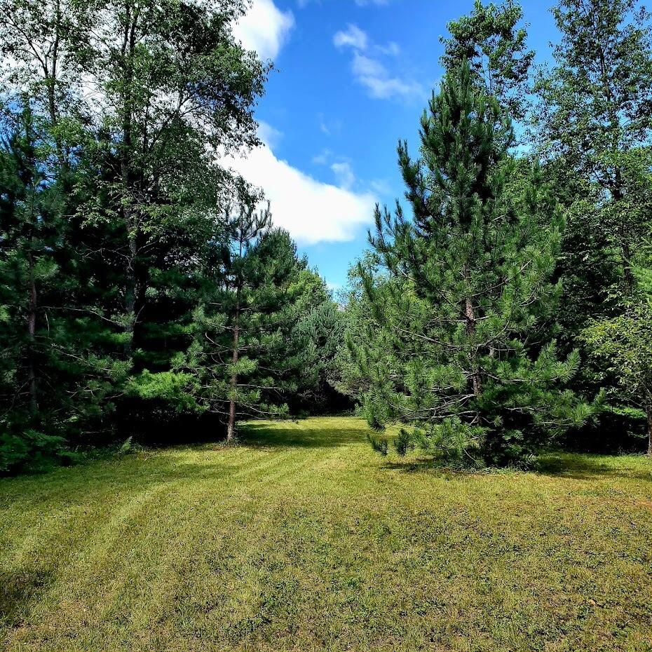 0 Creamery Road Kaleva, MI 49645 - Photo 4 of 28 unnamed (16)