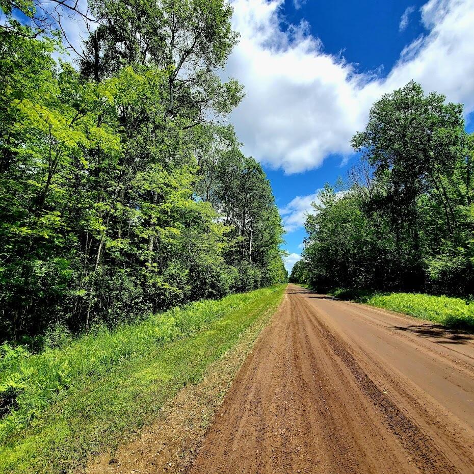 0 Creamery Road Kaleva, MI 49645 - Photo 6 of 28 unnamed (20)