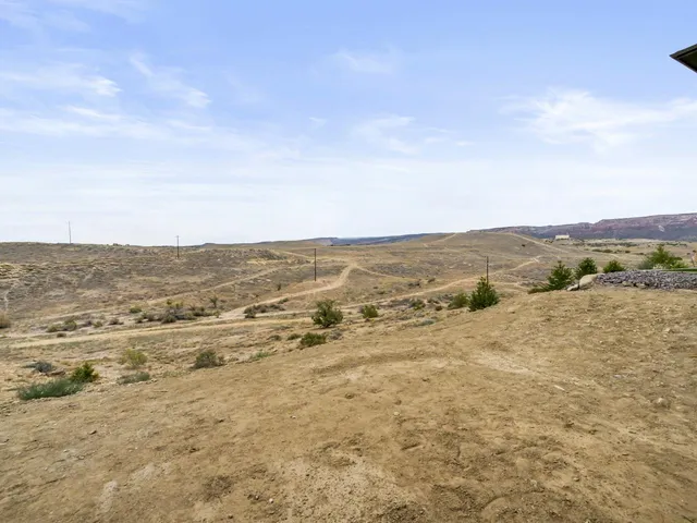 an aerial view of ocean and trees