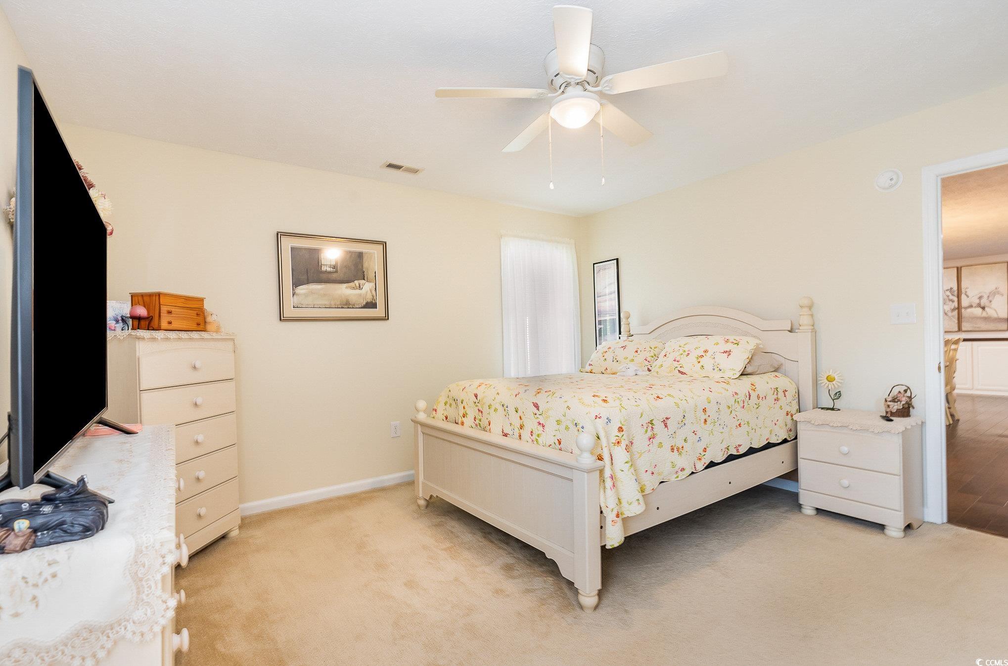 285 Zion Road Galivants Ferry, SC 29544 - Photo 23 of 39