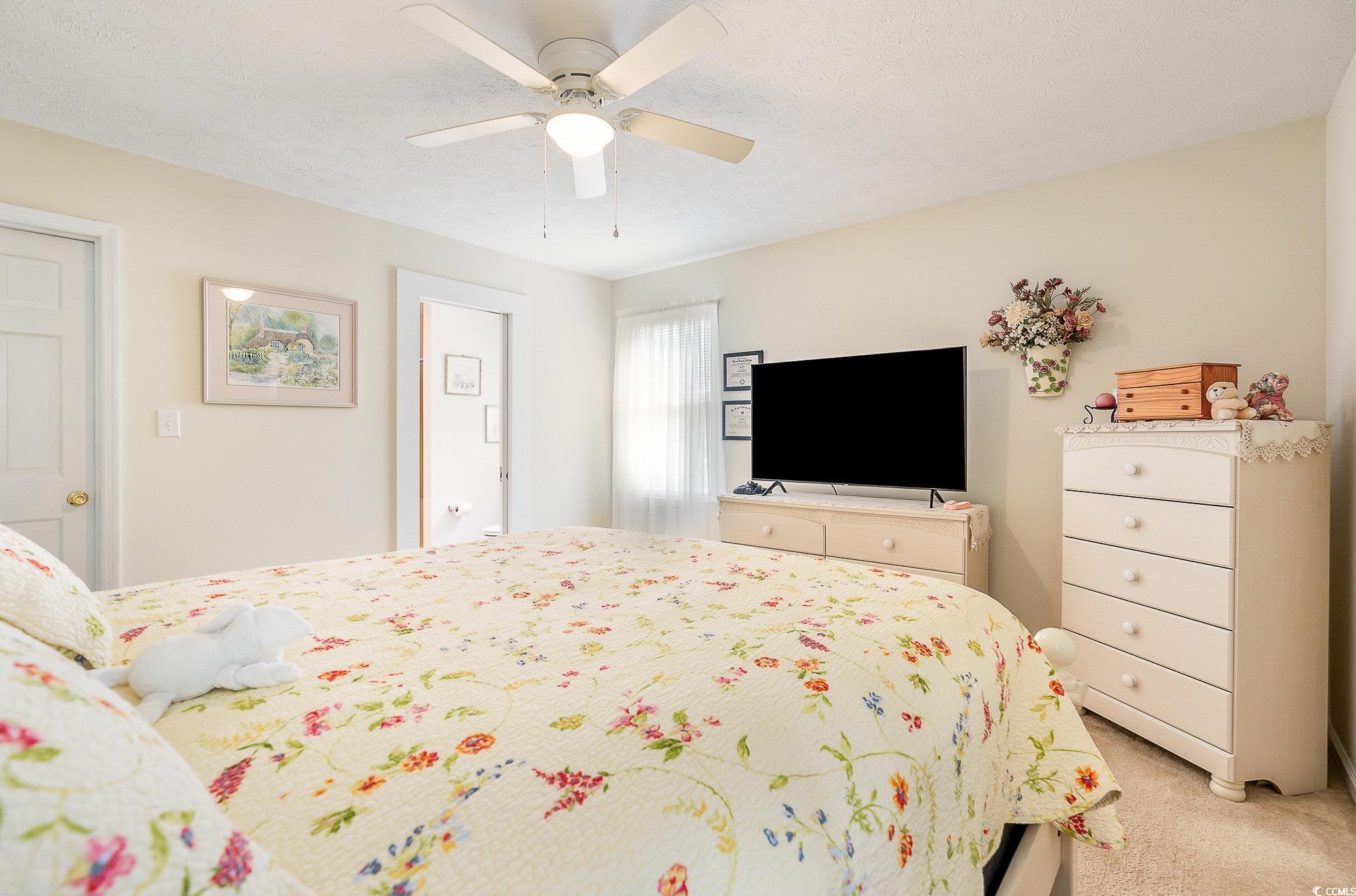 285 Zion Road Galivants Ferry, SC 29544 - Photo 24 of 39