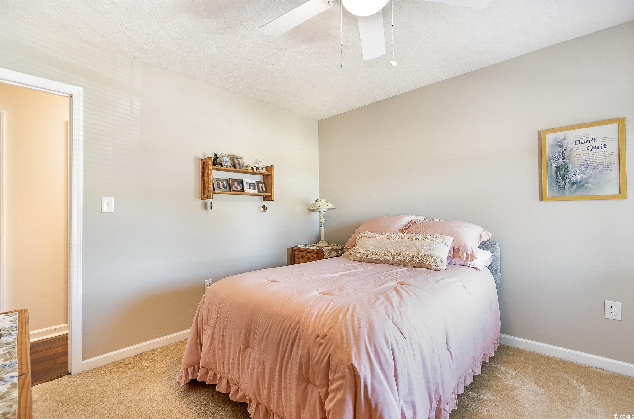 285 Zion Road Galivants Ferry, SC 29544 - Photo 28 of 39