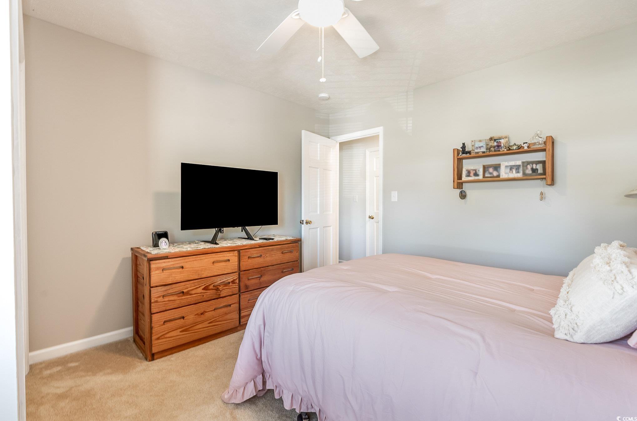 285 Zion Road Galivants Ferry, SC 29544 - Photo 29 of 39