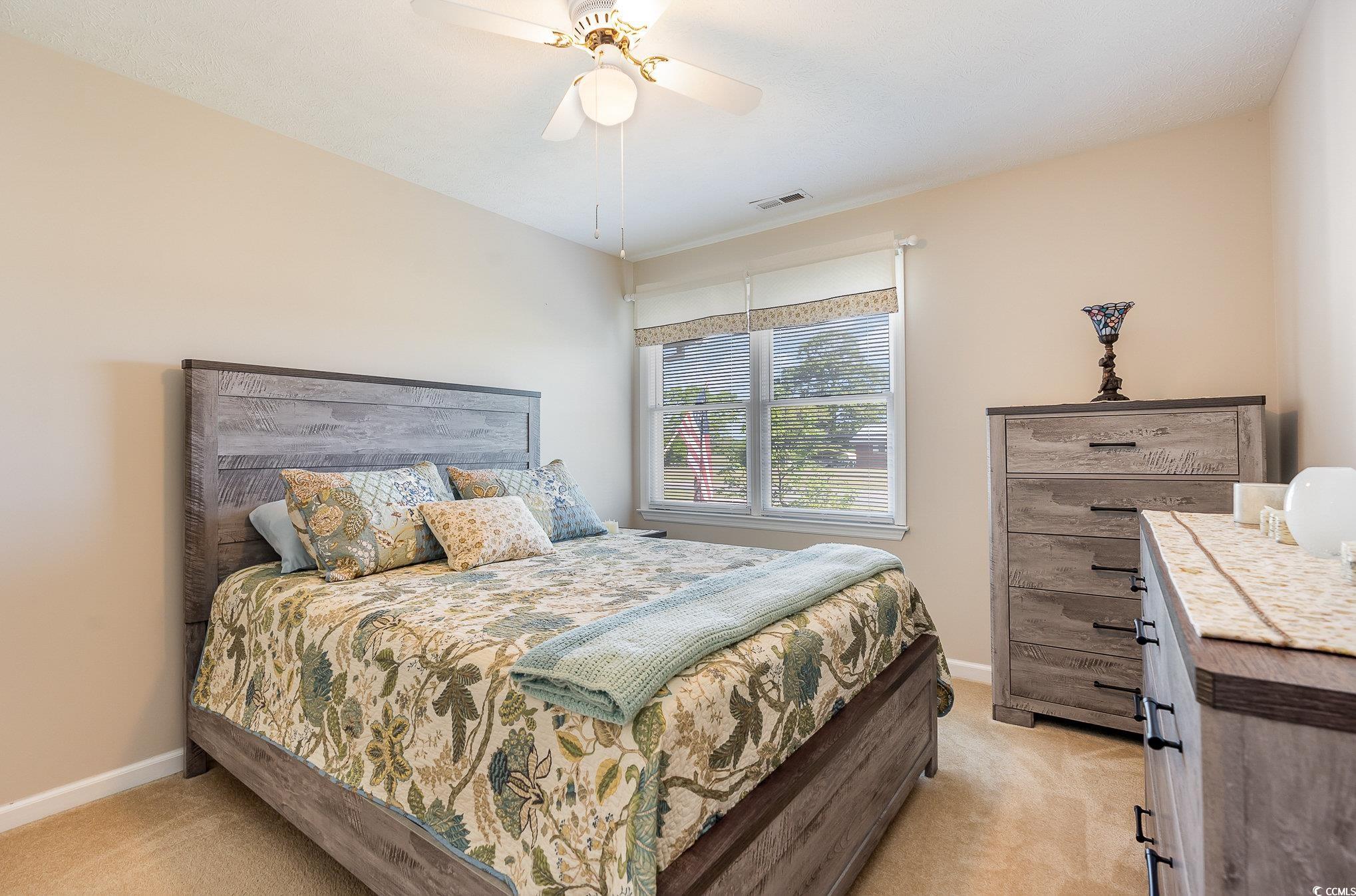 285 Zion Road Galivants Ferry, SC 29544 - Photo 32 of 39