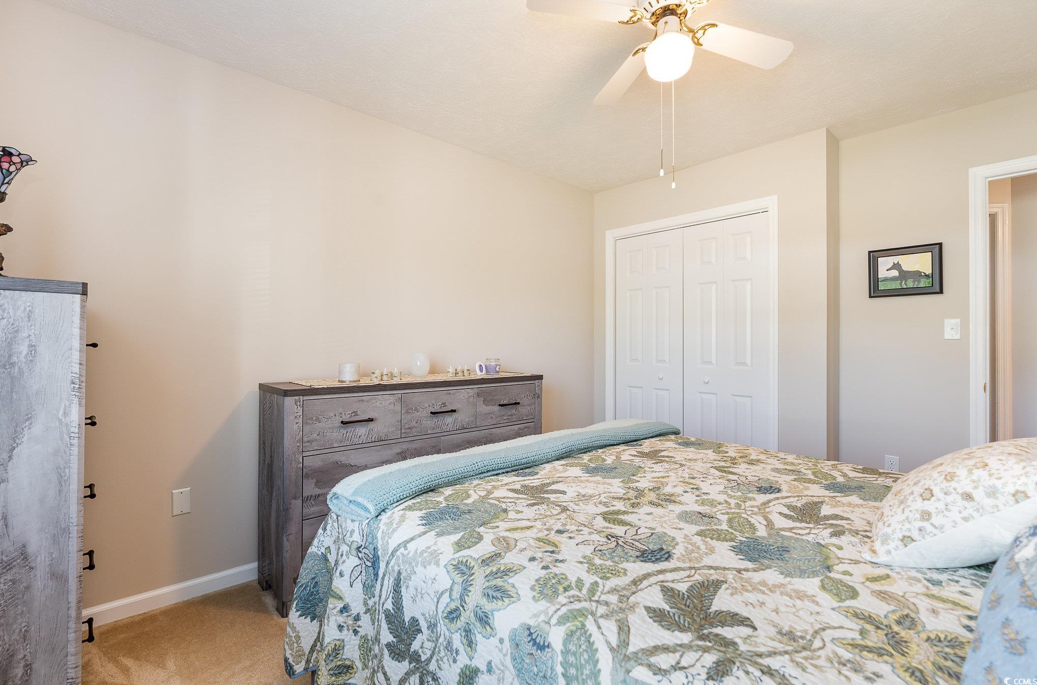 285 Zion Road Galivants Ferry, SC 29544 - Photo 33 of 39