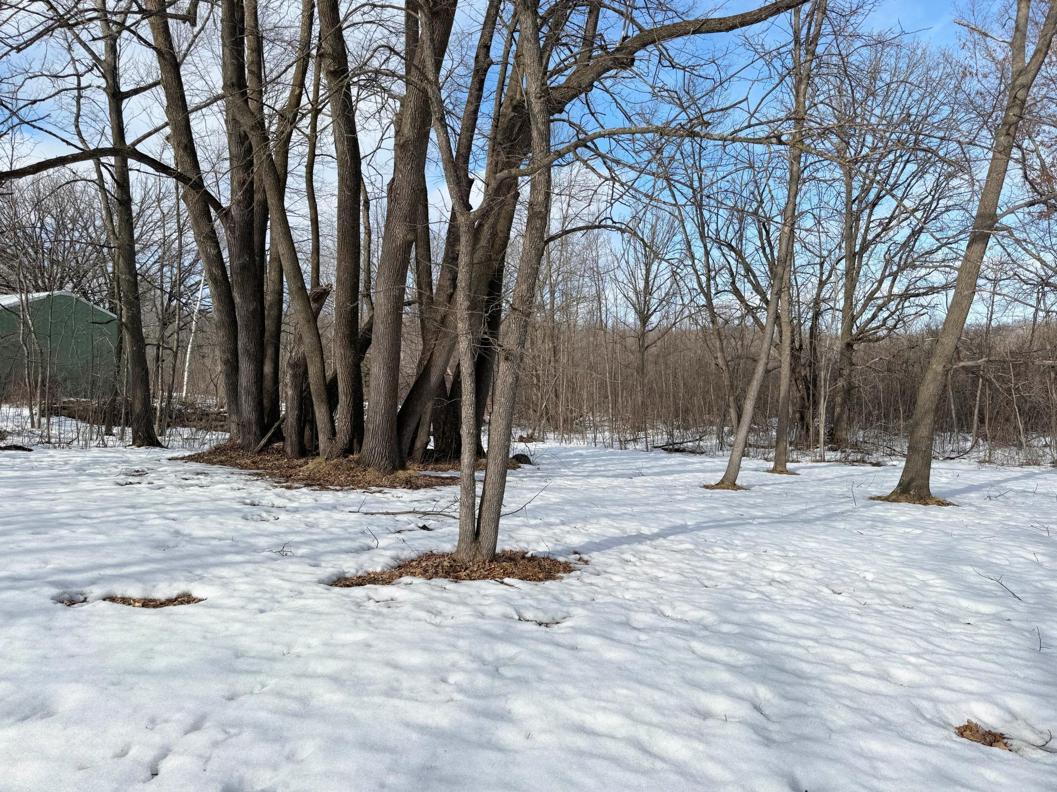 18500 Bogie Bay Garrison, MN 56450 - Photo 40 of 45