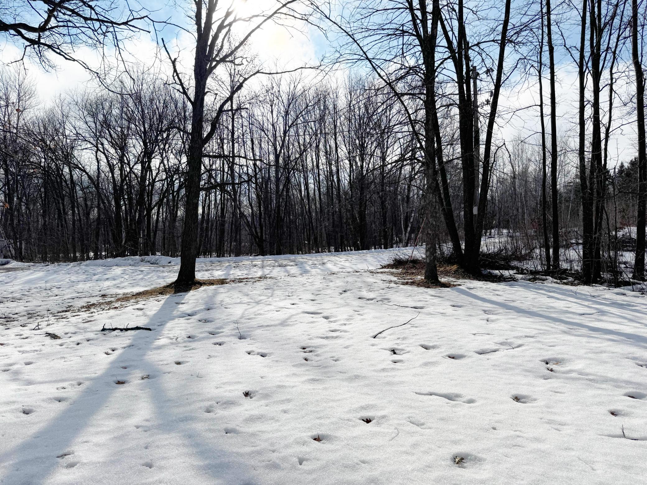 18500 Bogie Bay Garrison, MN 56450 - Photo 41 of 45