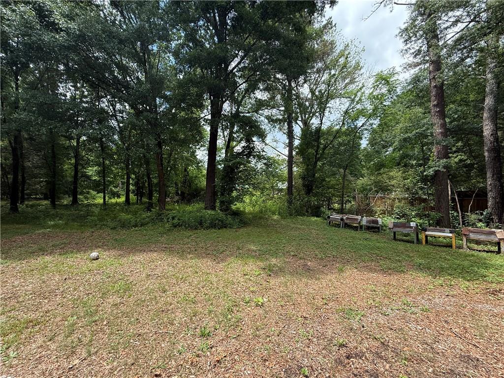 726 Old Rome Road Aragon, GA 30104 - Photo 2 of 30