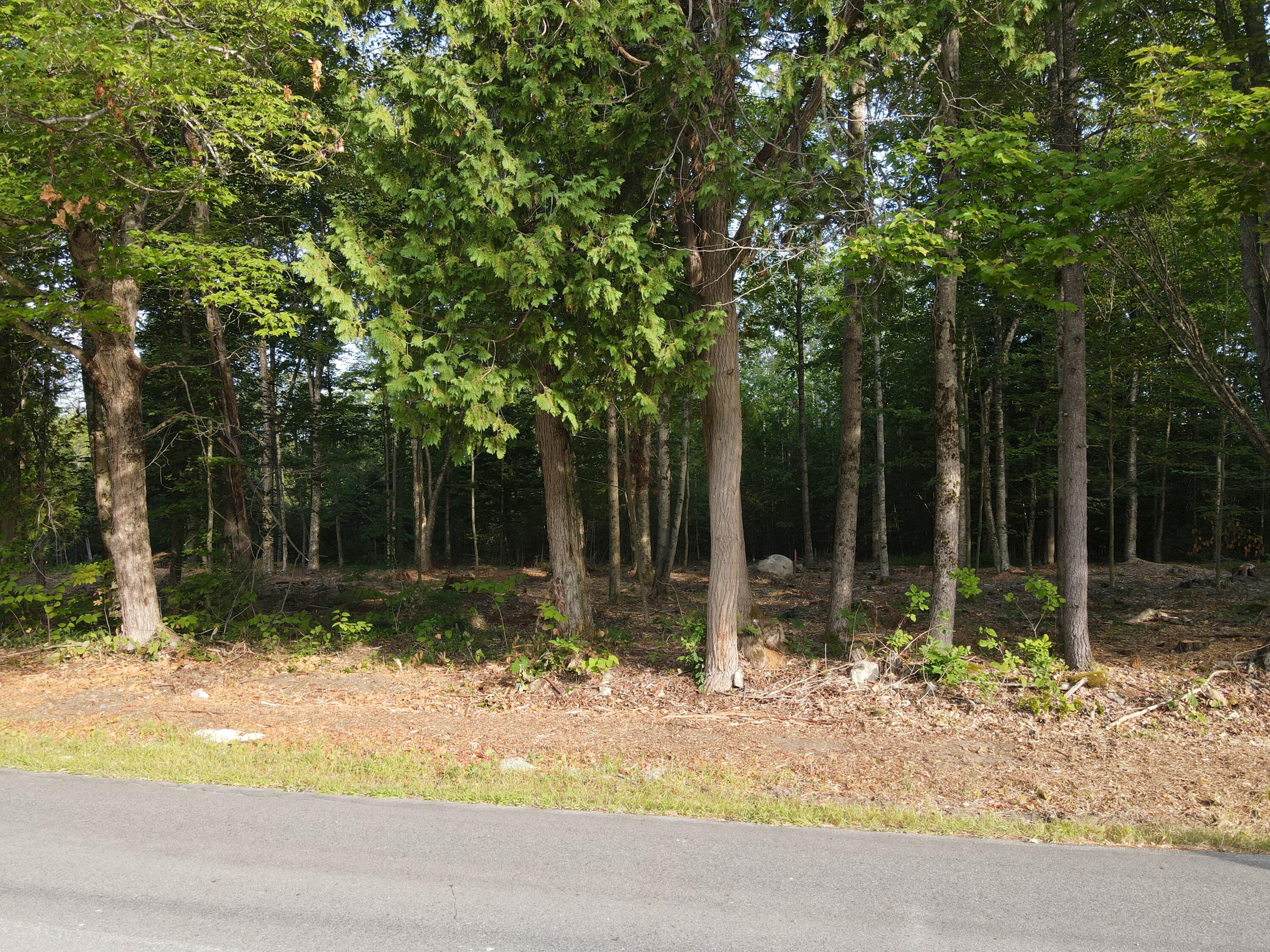 Lot 4 Oak Pond Road Canaan, ME 04924 - Photo 4 of 8 dji_fly_20250807_075718_590_175457139445
