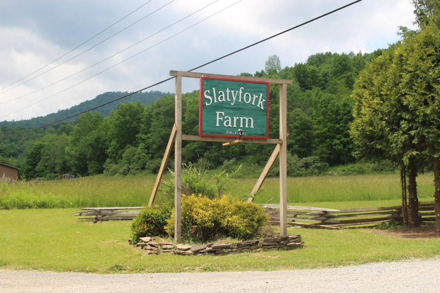8 Hawthorne Ridge Road Slatyfork, WV 26291 - Photo 48 of 48 Gallery Image 48