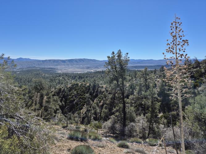 0 Maple Trail Frazier Park, CA 93225 - Photo 11 of 20