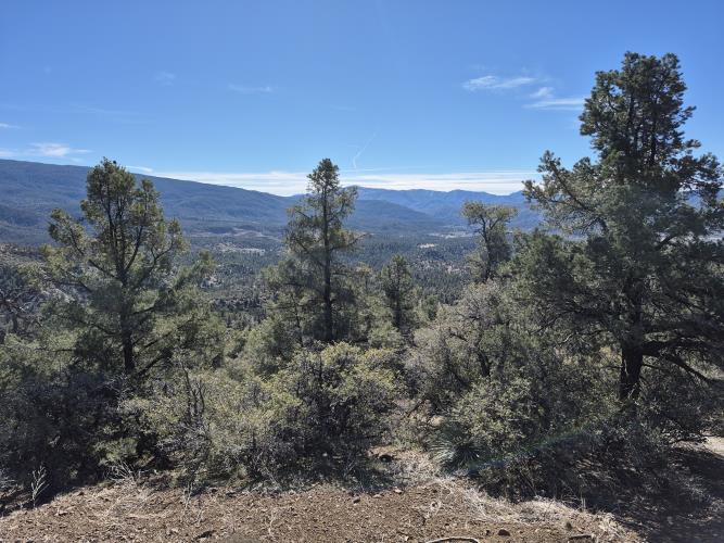 0 Maple Trail Frazier Park, CA 93225 - Photo 17 of 20