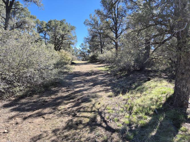 0 Maple Trail Frazier Park, CA 93225 - Photo 19 of 20