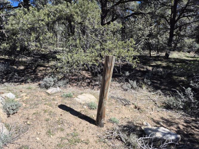 0 Maple Trail Frazier Park, CA 93225 - Photo 20 of 20