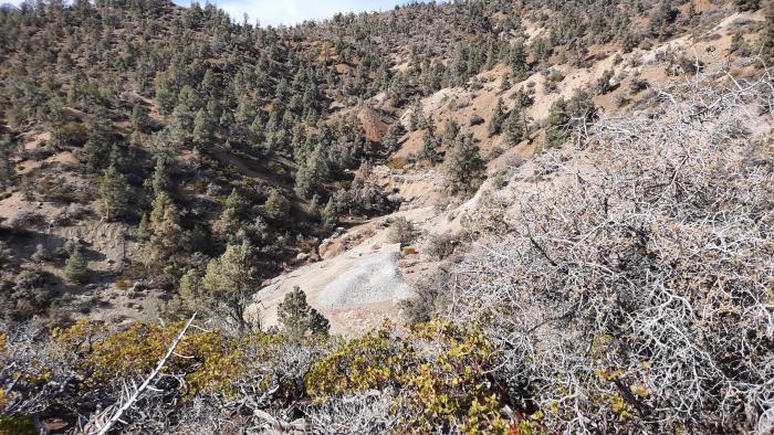 0 Maple Trail Frazier Park, CA 93225 - Photo 3 of 4