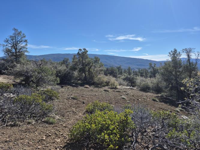 0 Maple Trail Frazier Park, CA 93225 - Photo 8 of 20