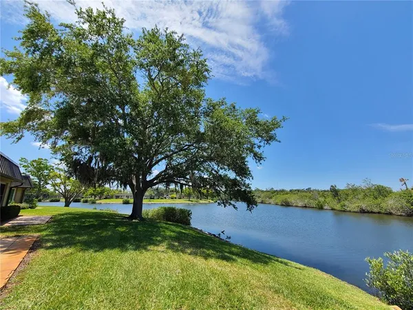 a view of yard with tree