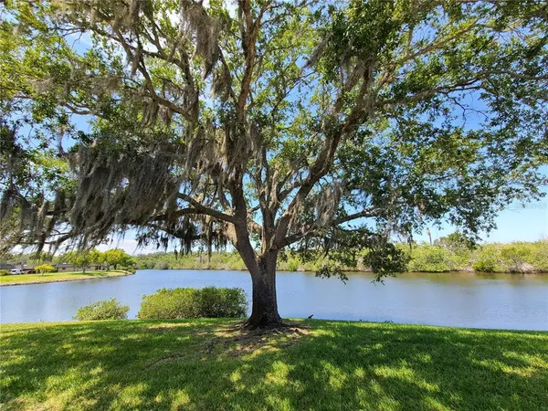 a view of lake view