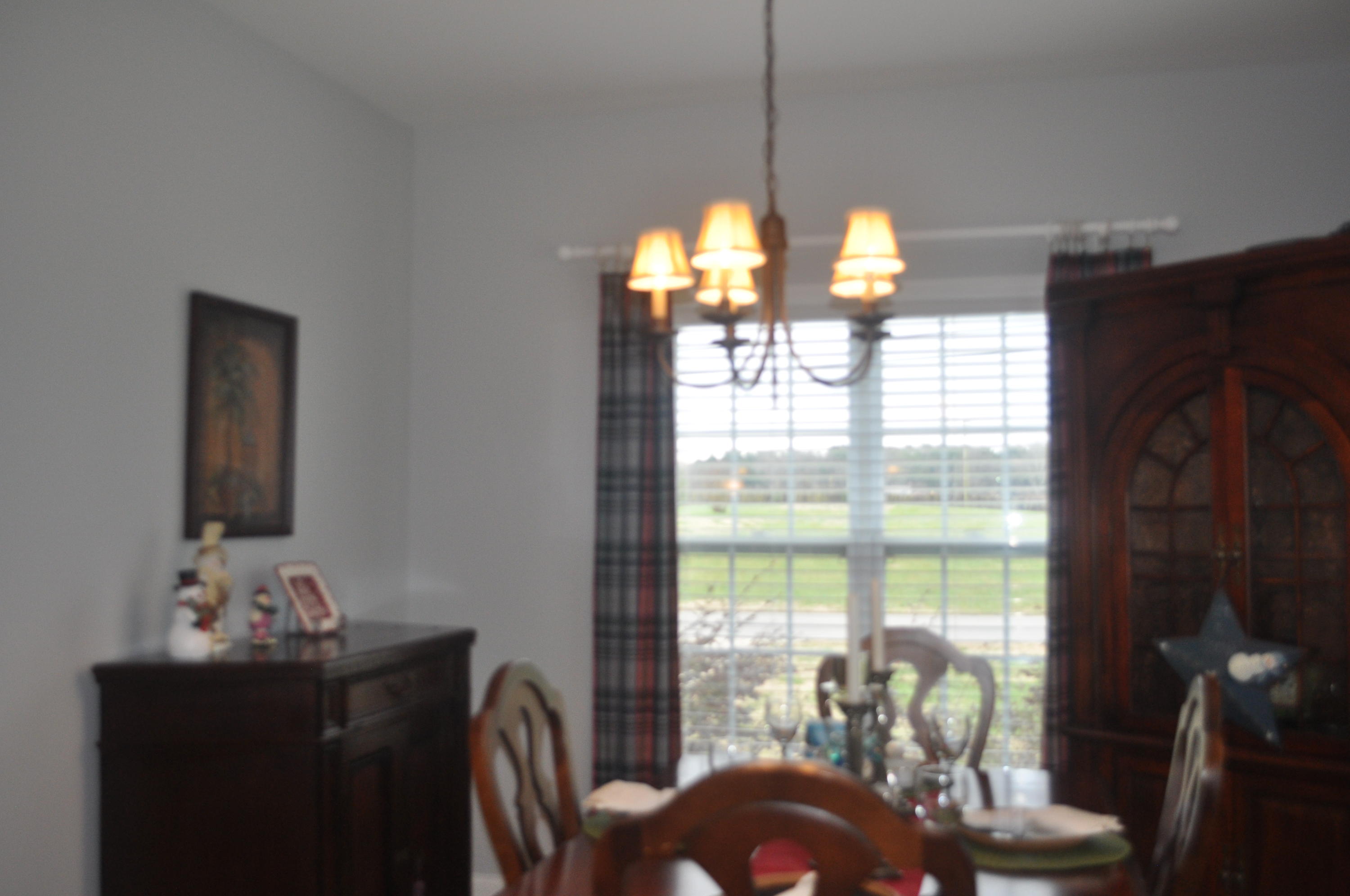 406 Corinth Church Road McDonald, TN 37353 - Photo 16 of 32 DSC_0025