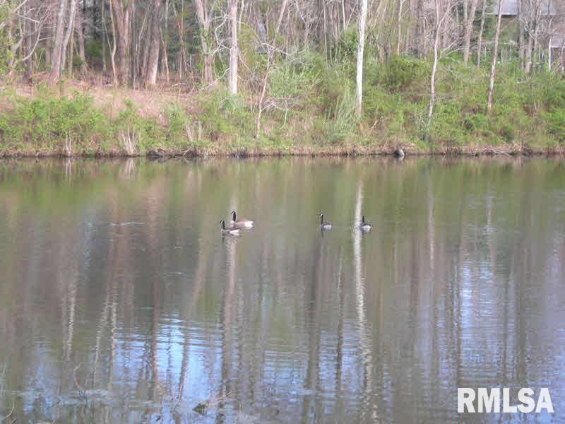 5650 Country Club Road Murphysboro, IL 62966 - Photo 19 of 22