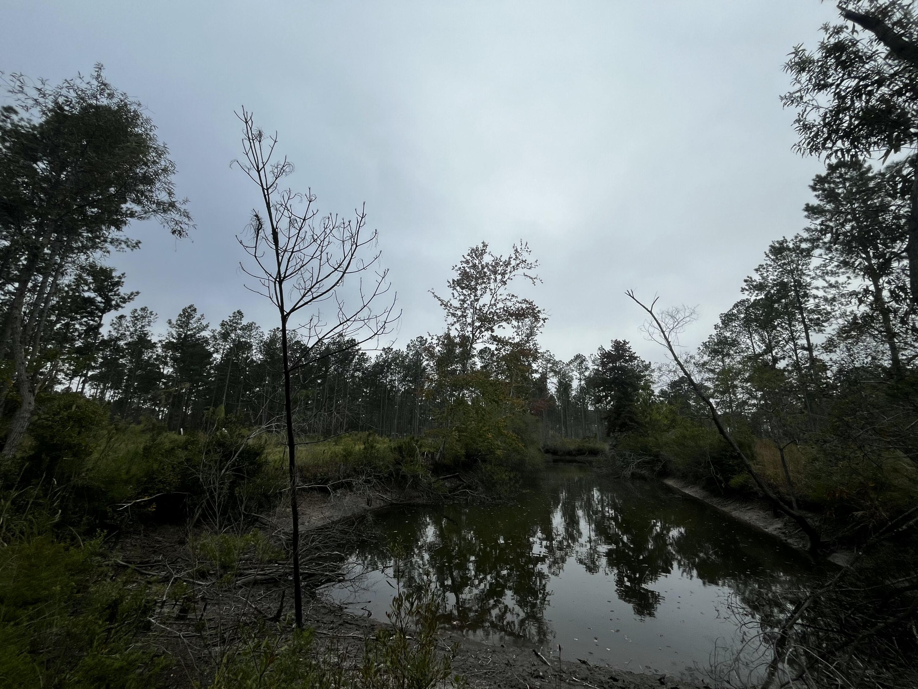 0 Peniel Road Walterboro, SC 29488 - Photo 8 of 15 4 (10)