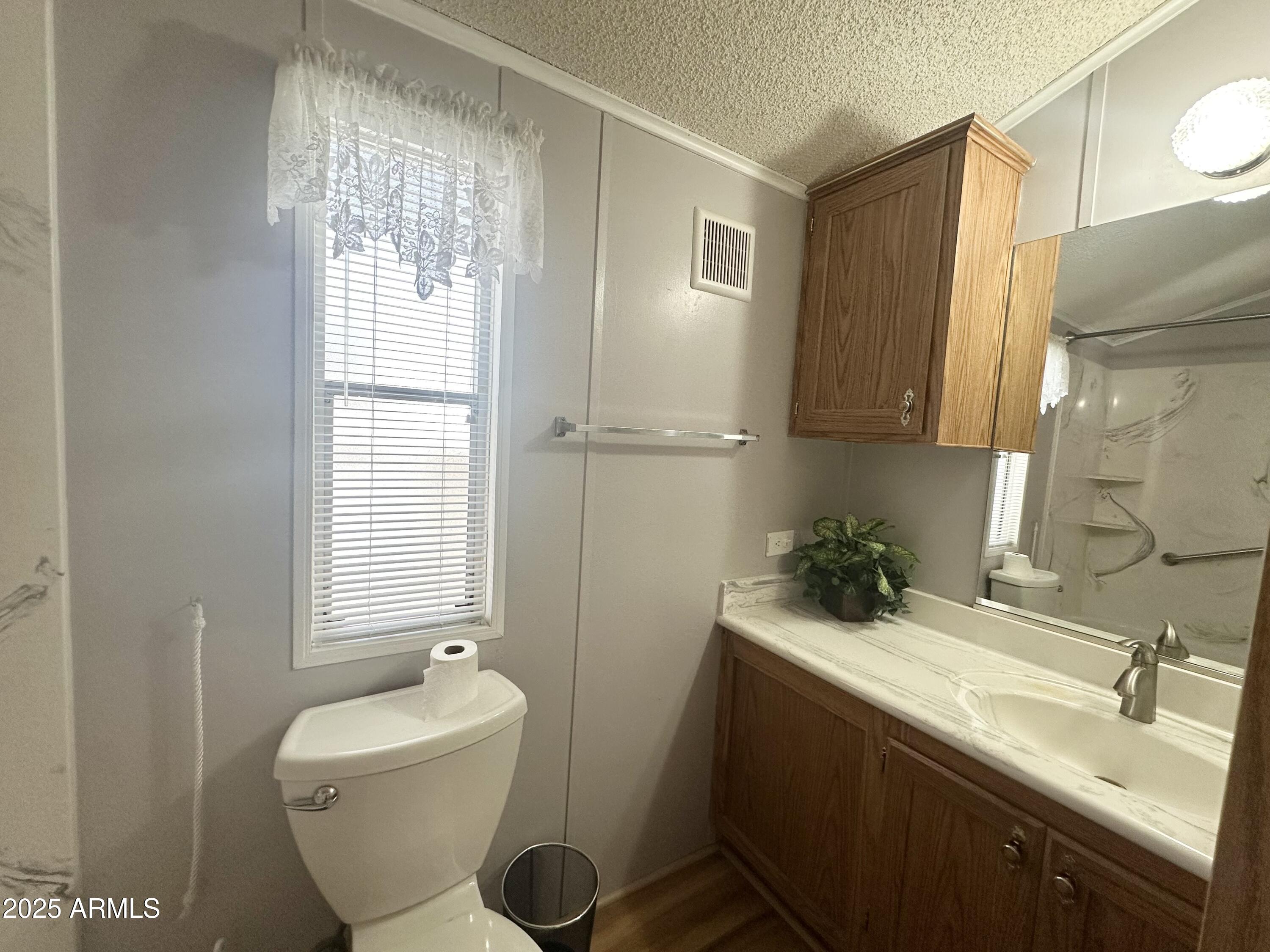 457 South Jasper Drive Apache Junction, AZ 85119 - Photo 20 of 51 UPGRADED BATHROOM