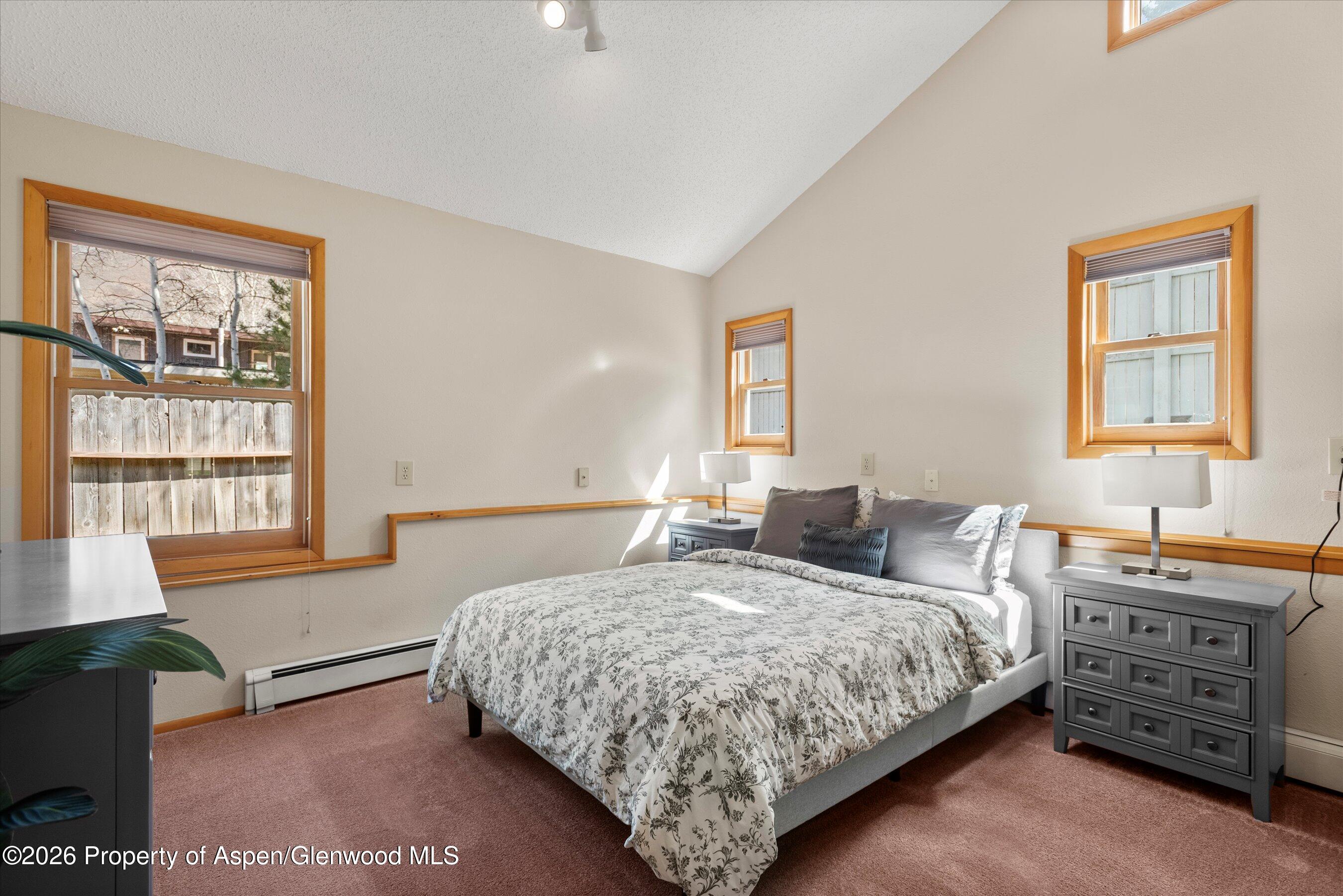 53 Spruce Street, Unit S 1 AND 2 Aspen, CO 81611 - Photo 46 of 67 17-17-536SpruceSt_250429017