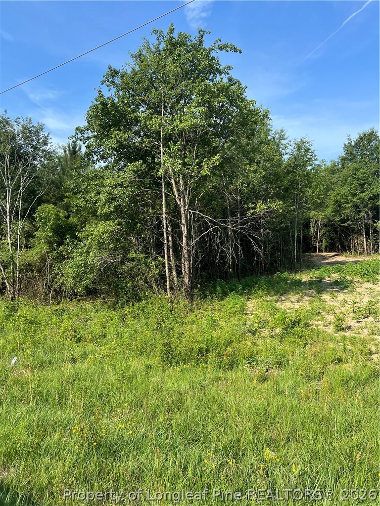 0 Produce Market Road Laurinburg, NC 28352 - Photo 2 of 3