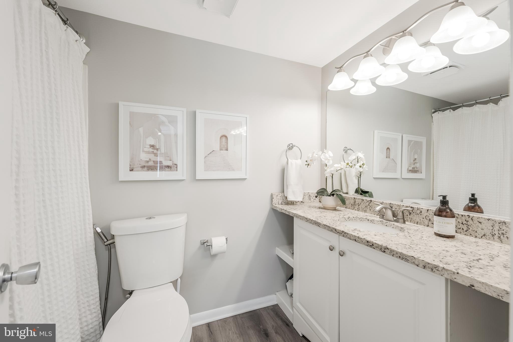 11564 Rolling Green Court, Unit 12/301B Reston, VA 20191 - Photo 22 of 31 a bathroom with a granite countertop toilet sink and mirror