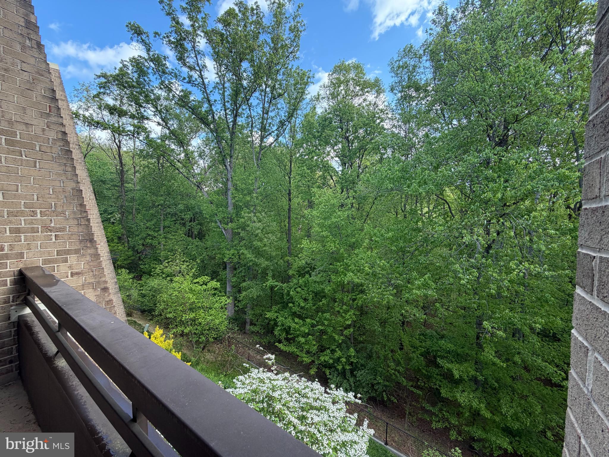 11564 Rolling Green Court, Unit 12/301B Reston, VA 20191 - Photo 7 of 31 a view of a garden from a balcony